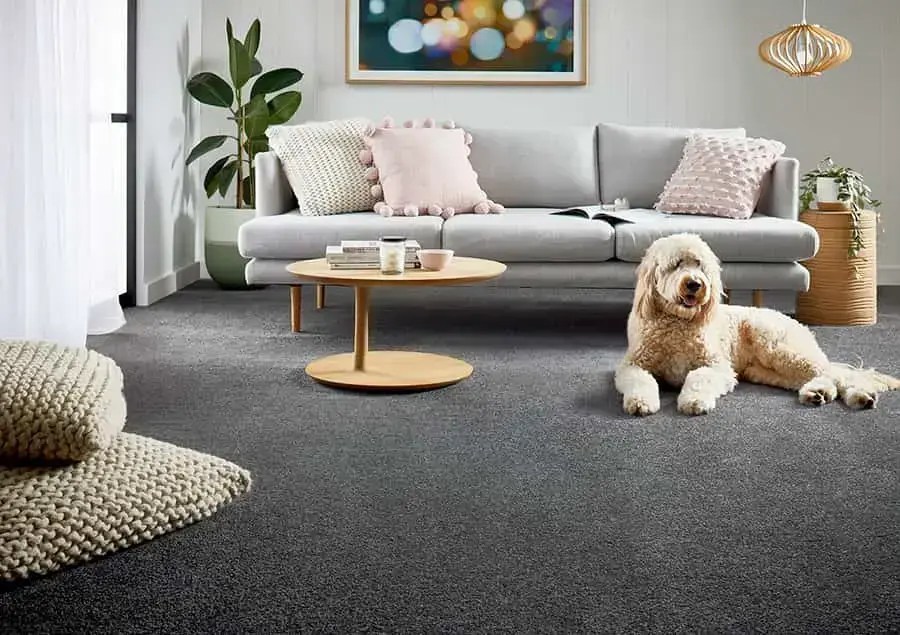 Things to Look Out for When Buying Carpet for Your Home?